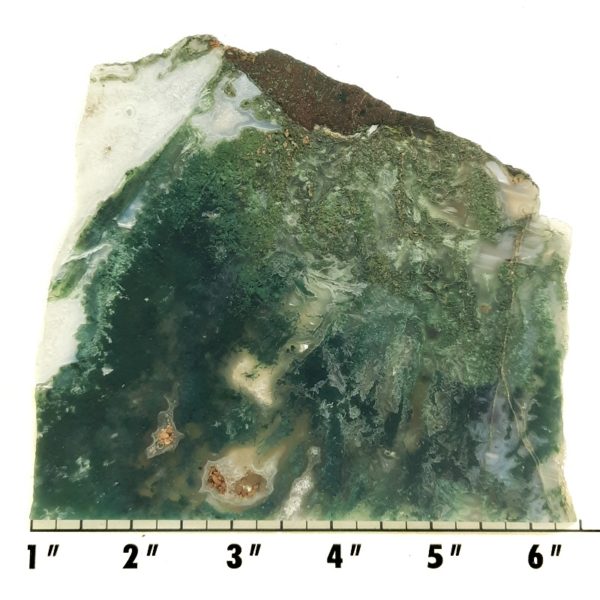 Slab20 - Green Moss Agate slab