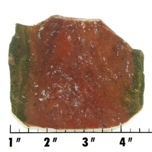 Slab237- Maury Mountain Moss Agate Slab