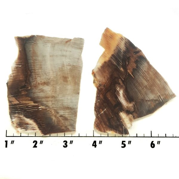 Slab312 - Opalized Wood Slabs