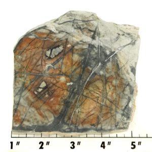 Slab353 - Picasso Marble slab