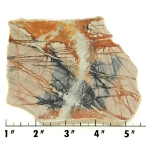 Slab336 - Picasso Marble End Cut slab