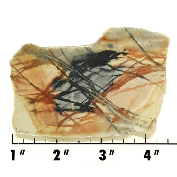Slab341 - Picasso Marble slab