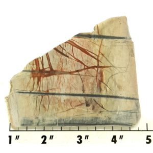 Slab344 - Picasso Marble slab
