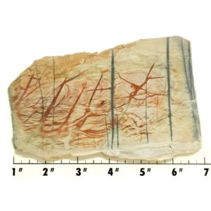 Slab35 - Picasso Marble slab