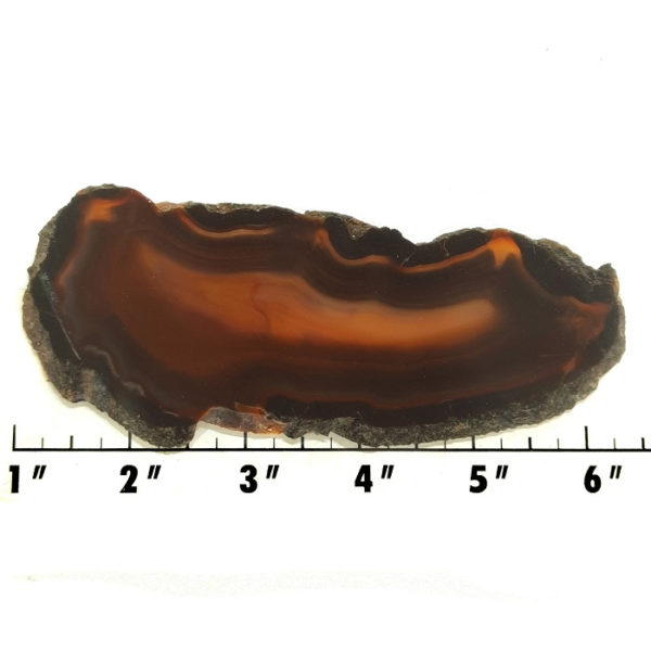 Slab250 - Piranha Agate slab