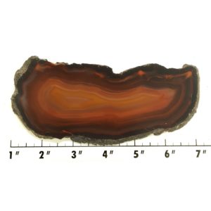 Slab24 - Piranha Agate slab