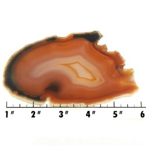 Slab242 - Piranha Agate slab
