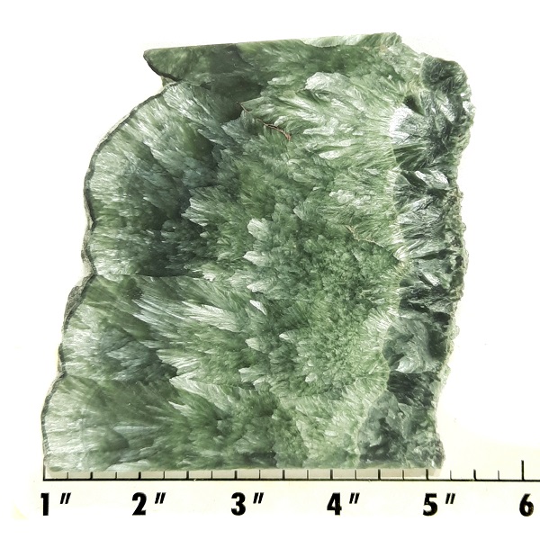 Slab407 - Seraphinite slab