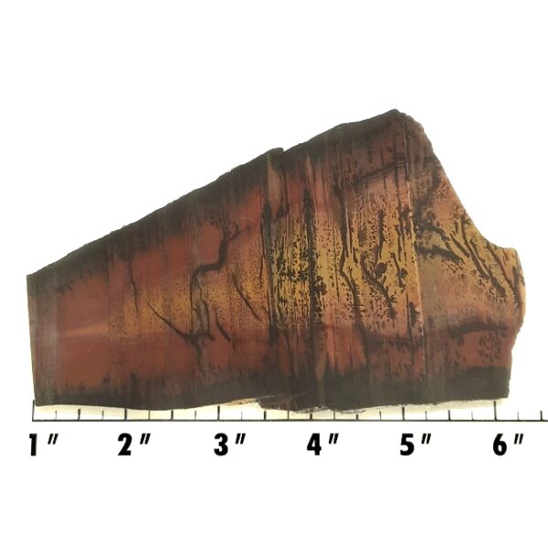 Slab630 - Indian Paint Rock Slab