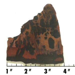 Slab64 - Indian Paint Rock Slab
