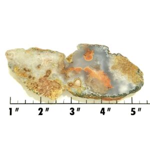 Slab922 - Needle Peak Agate end cut slab