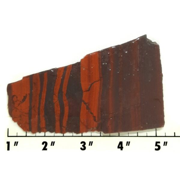 Slab875 - Red Jasper with Hematite slab