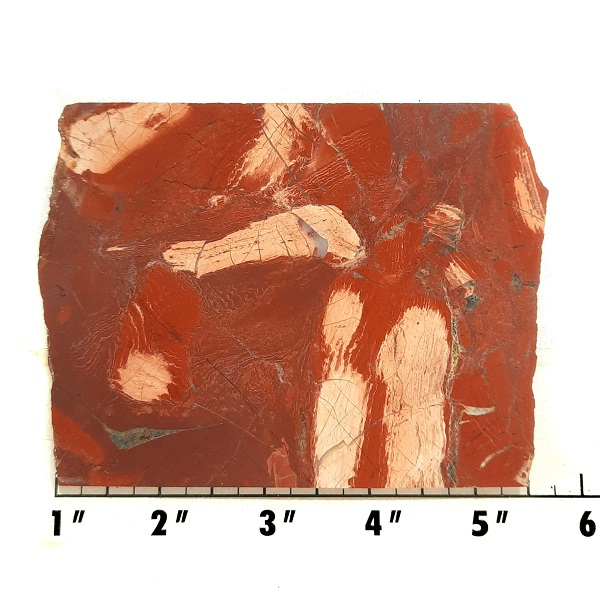 Slab885 - Red Snakeskin Jasper slab