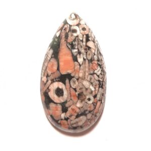 Cab2331 - Crinoid Fossil Marble Cabochon