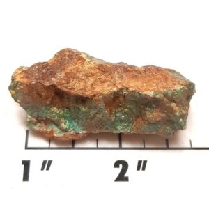 Battle Mountain Stabilized Turquoise medium size rough #24