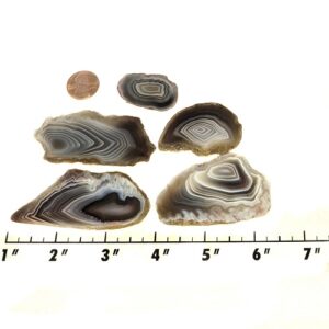 Slab1661 - Botswana Agate slabs
