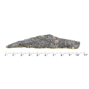 Slab1404 - Crinoid Marble Slab