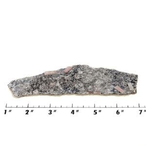 Slab1410 - Crinoid Marble Slab