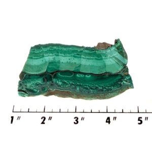Slab1231 - Malachite slab