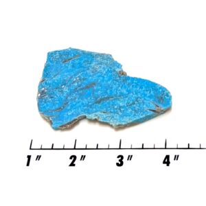 Slab955 - Nacozari Stabilized Turquoise slab