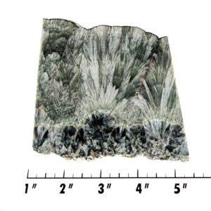 Slab1741 - Seraphinite slab
