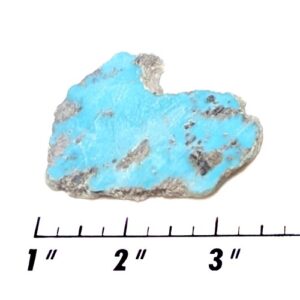 Slab1572 - Stabilized Sonoran Blue Turquoise Slab