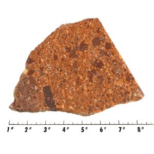 Slab1802 - Kingstonite Native Copper Slab