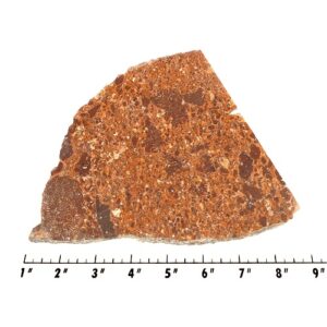 Slab1805 - Kingstonite Native Copper Slab