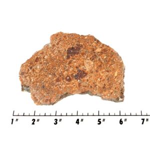 Slab1854 - Kingstonite Native Copper Slab