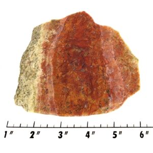 Slab479 - Red Flame Agate Slab