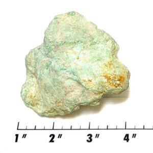Stabilized Campitos Turquoise Rough #2