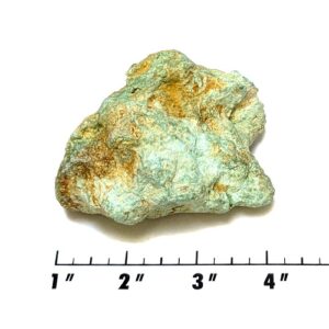 Stabilized Campitos Turquoise Rough #11