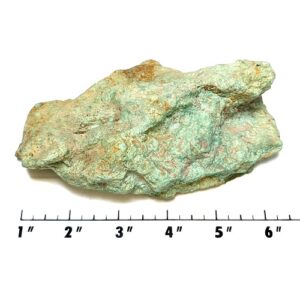 Stabilized Campitos Turquoise Rough #13