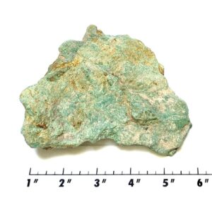 Stabilized Campitos Turquoise Rough #15