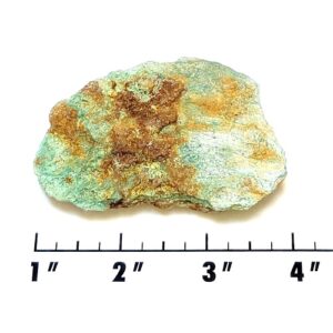 Stabilized Campitos Turquoise Rough #21