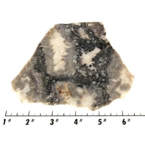 Slab1058 - Ghost Boy Stromatolite slab