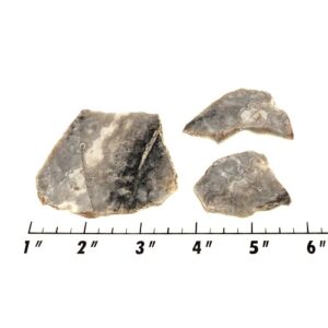 Slab1305 - Ghost Boy Stromatolite slabs