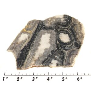 Slab1059 - Ghost Boy Stromatolite slab