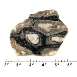 Slab1186 - Ghost Boy Stromatolite slab