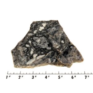 Slab1218 - Ghost Boy Stromatolite slab