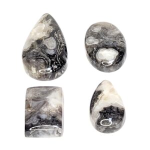 Ghost Boy Stromatolite Cabochons from Arizona