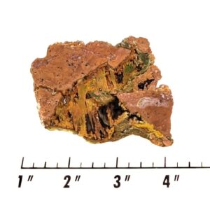 Slab1713 - Muggins Mountain Plume Agate