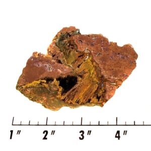 Slab1721 - Muggins Mountain Plume Agate