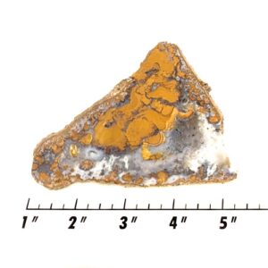 Slab1123 - Mohave County Plume Agate