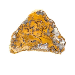 Mohave County Plume Agate Slabs from Arizona