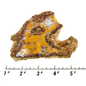 Slab1140 - Mohave County Plume Agate