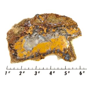 Slab1175 - Mohave County Plume Agate