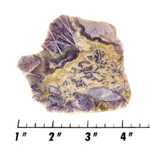 Slab465 - Sagenitic Fluorite