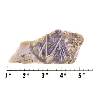Slab424 - Sagenitic Fluorite